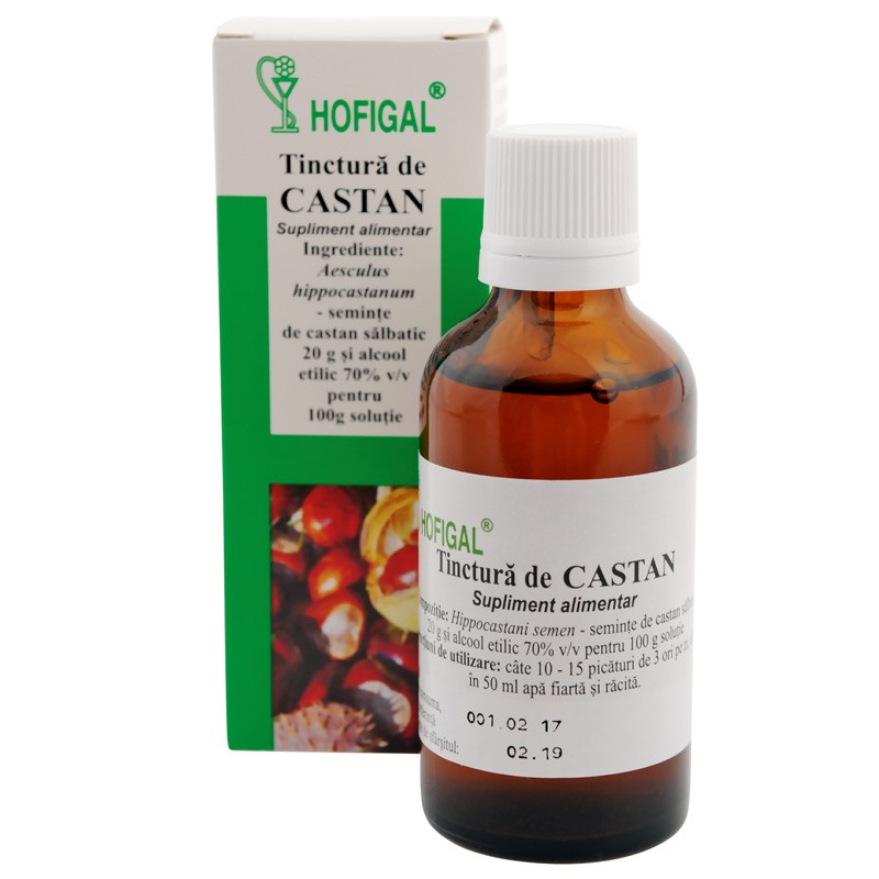 Utilizarea fructelor de castan în varicoză - Tinctură de castan pentru varice: rețetă și indicații